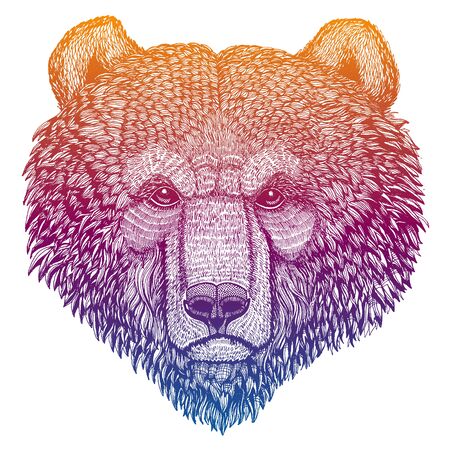 Bear Head Logo Mascot Emblemのイラスト素材