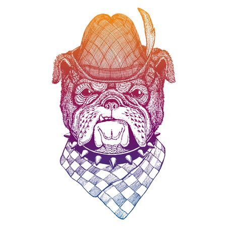 Vector dog, bulldog. Bavarian traditional hat. Tirol austrian hat. Beer Oktoberfest character portrait.のイラスト素材