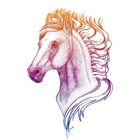 Portrait of horse. Vector animal head. Symbol of sport cometition, farm, exhibition.のイラスト素材