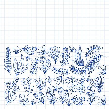 Hand vector drawn floral, leaves elements. Pattern for logo, greeting card, wedding design.のイラスト素材