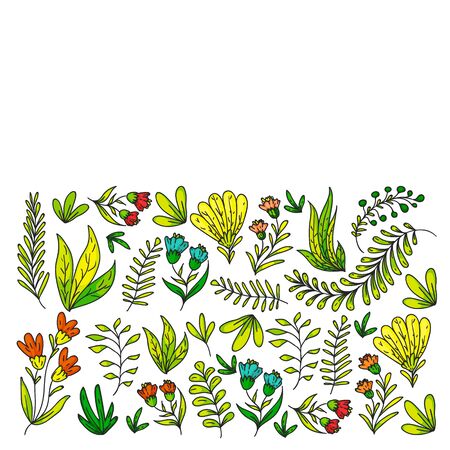 Hand vector drawn floral, leaves elements. Pattern for logo, greeting card, wedding design.のイラスト素材