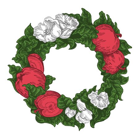 Flowers and apples. Vector picture. Wedding invitation template, egology concept, vegan food, cafe, restaurant, illustration for apple juice packageのイラスト素材