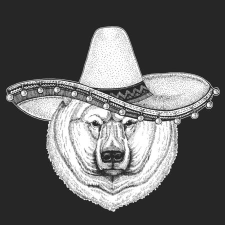 Polar bear portrait. Sombrero is traditional mexican hat. Mexico. Head of wild animalのイラスト素材