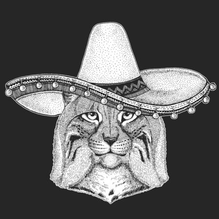 Lynx, bobcat, trot portrait. Sombrero is traditional mexican hat. Mexico. Head of wild cat. Animal face.のイラスト素材