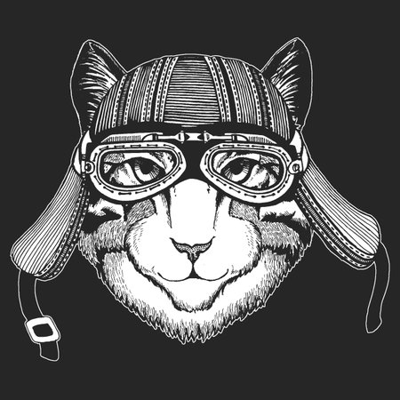 Face of domestic cat. Portrait of animal. Cute kitty, kitten.のイラスト素材