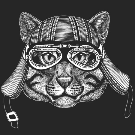 Face of domestic cat. Portrait of animal. Cute kitty, kitten.のイラスト素材