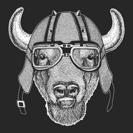 Buffalo, bison, bull head. Vintage motorcycle leather helmet. Portait of animal.のイラスト素材