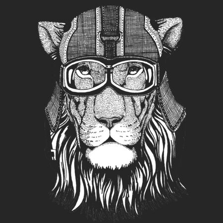 Lion head. Wild animal portrait. Vintage motorcycle leather helmet. Face of african cat.のイラスト素材