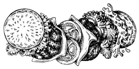 Burger. Vector illustration for menu, restaurant food deliveryのイラスト素材