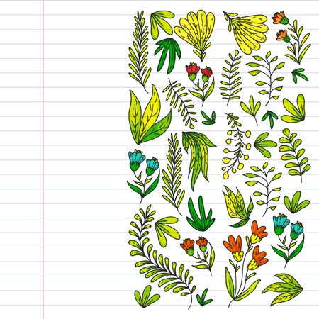 Hand vector drawn floral, leaves elements  Patternのイラスト素材