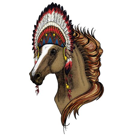 American native ethnic Indian traditional headdress.のイラスト素材