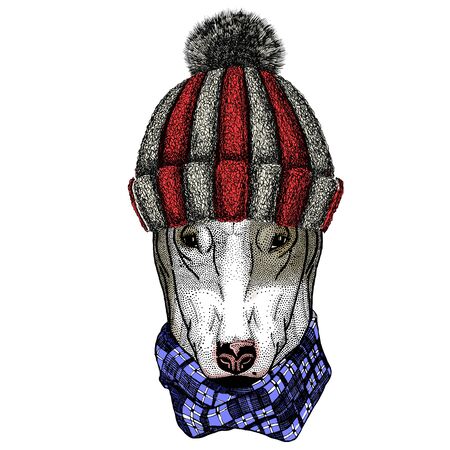 Knitted wool winter hat. Wild animal.のイラスト素材