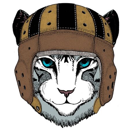 Face of domestic cat. Rugby leather helmet. Portrait of animal. Cute kitty, kitten.のイラスト素材