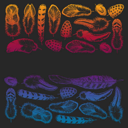 Set of ethnic feathers. Decoration design. Birds feathers, boho chic style. Tribal ornament pattern.のイラスト素材