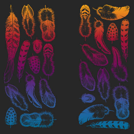 Set of ethnic feathers. Decoration design. Birds feathers, boho chic style. Tribal ornament pattern.のイラスト素材