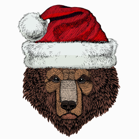 Christmas winter animal. Bear wild animal face. Christmas red Santa Claus hat. Grizzly cute brown bear head portrait.のイラスト素材