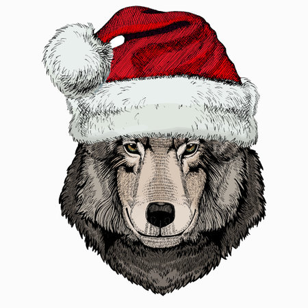 Vector portrait of wolf. Christmas red Santa Claus hat. Cool wild wolf. Animal head.のイラスト素材
