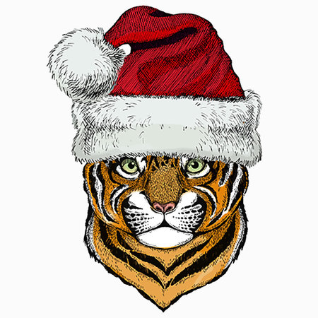 Baby tiger, small little tiger for children. Christmas winter animal. Christmas red Santa Claus hat.のイラスト素材