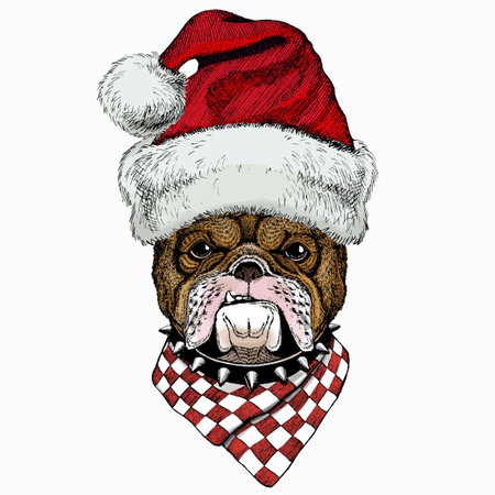 Bulldog portrait. Christmas red Santa Claus hat. Dog head. Animal face.のイラスト素材
