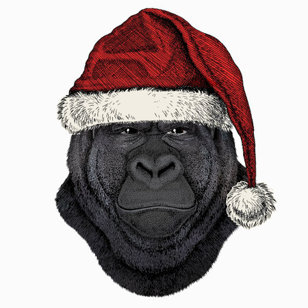 Gorilla head. Christmas red Santa Claus hat. Christmas winter animal vector portrait.のイラスト素材