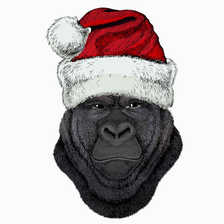 Gorilla head. Christmas red Santa Claus hat. Christmas winter animal vector portrait.のイラスト素材