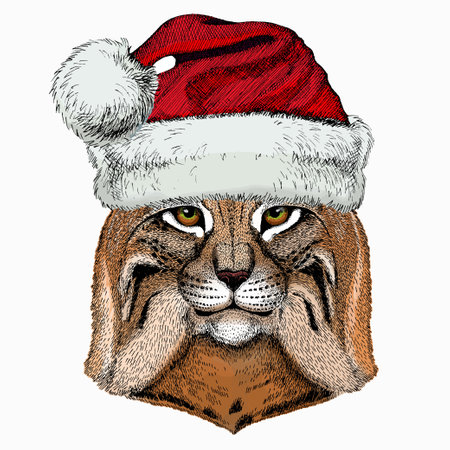 Lynx, bobcat. Christmas red Santa Claus hat. Wild cat. Vector portrait of cat head.のイラスト素材