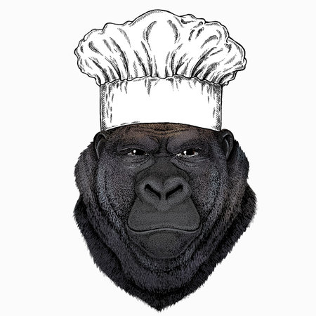 Gorilla head. Chef cook hat. Restaurant logo. Vector illustration. Wild animal portrait.