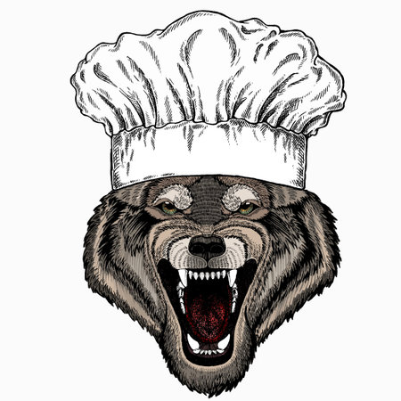 Vector portrait of wolf. Chef cook hat. Restaurant logo. Cool wild wolf. Animal head.のイラスト素材
