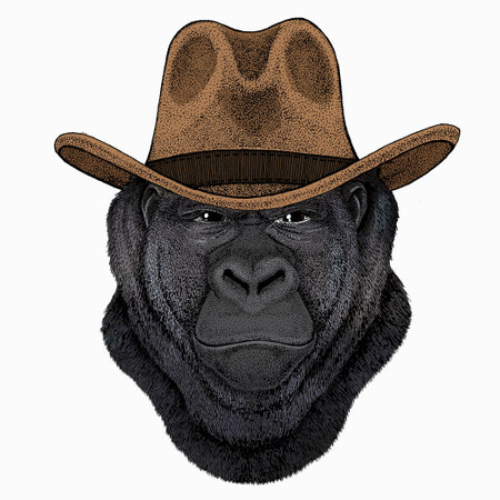 Gorilla head. Vector illustration. Wild animal portrait.のイラスト素材