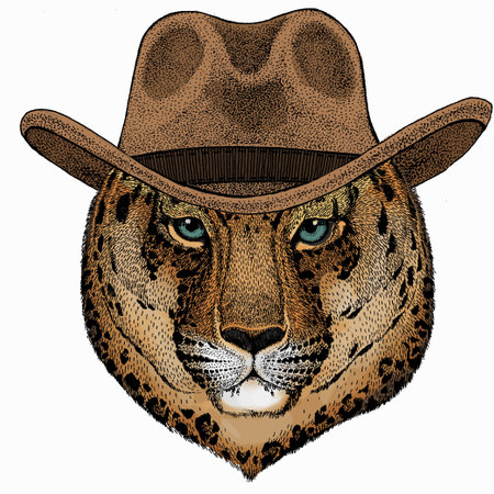 Leopard head. Wild cat.のイラスト素材