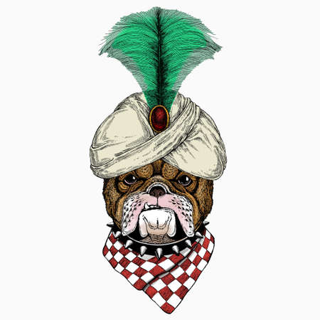 Bulldog portrait. Dog head. Animal face. Animal and wizard hat. Sorcerer and magicanのイラスト素材