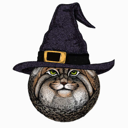 Pallass cat. Vector portrait, wild cat head, wild cat face.のイラスト素材