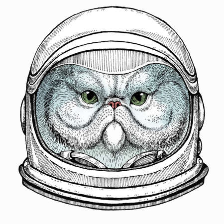 Portrait of persian cat. Vector cat head, face. Astronaut animal. Vector portrait. Cosmos and Spaceman. Space illustration about travel to the moon. Funny science hand drawn illustration.のイラスト素材