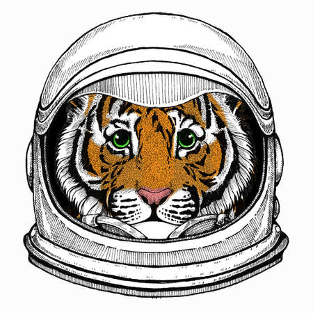 Baby tiger, small little tiger for children. Astronaut animal. Vector portrait. Cosmos and Spaceman. Space illustration about travel to the moon. Funny science hand drawn illustration.のイラスト素材