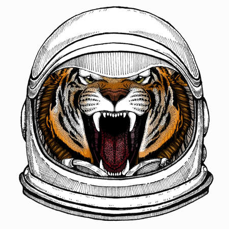 Vector tiger portrait. Animal head. Astronaut animal. Vector portrait. Cosmos and Spaceman. Space illustration about travel to the moon. Funny science hand drawn illustration.のイラスト素材