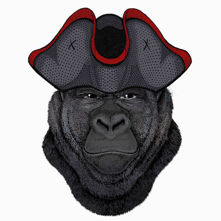 Gorilla head. Vector illustration. Animal wearing pirate headdress. Sailor portrait.