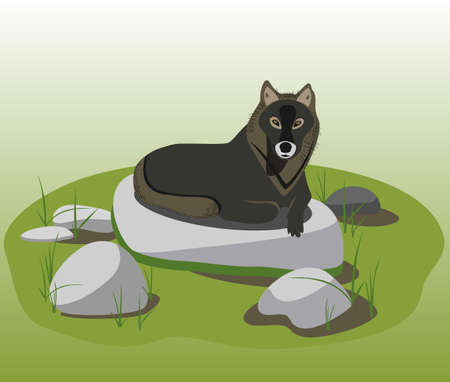 wolfのイラスト素材