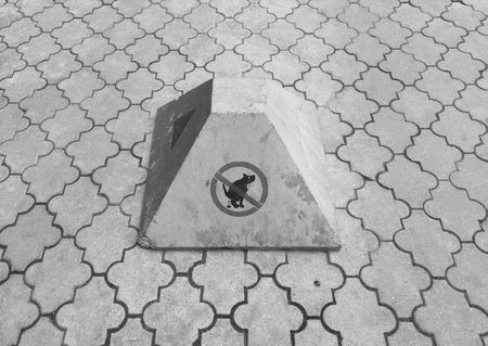 a sign painted on a stone on the sidewalk banning dog walking in unidentified places on a city streetの写真素材