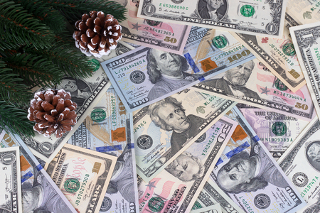 Christmas background american dollars fir branches conesの写真素材
