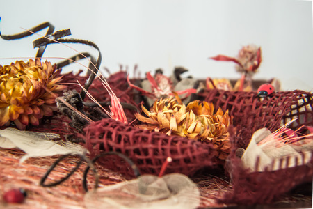 beautiful compositionの写真素材