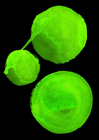 Round green watercolor frame, circle shape form isolated on black background. Handmade technique
