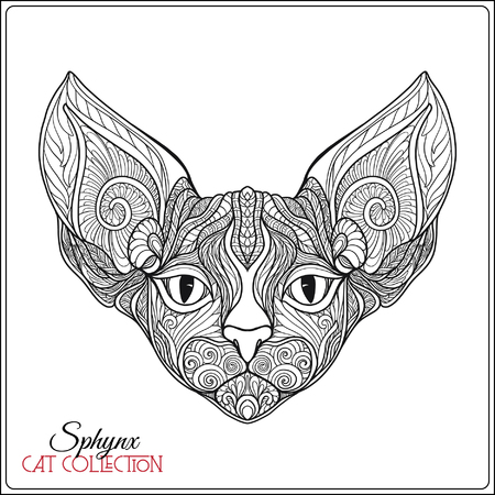 Decorative sphynx Cat. Vector illustration. This illustration can be used as a greeting card or as a print on T-shirts and bags.のイラスト素材