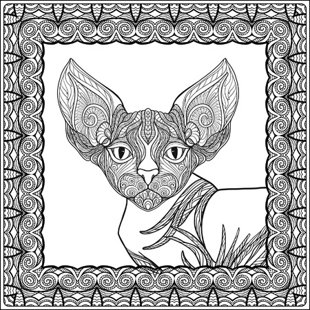Decorative Cat in ethnic decorative frame. Vector illustration.  Adult Coloring book. Coloring page. Vector illustration.のイラスト素材