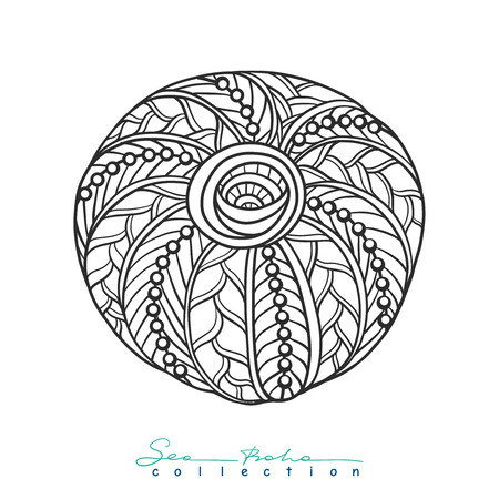 Sea shell Decorative vector illustration/のイラスト素材