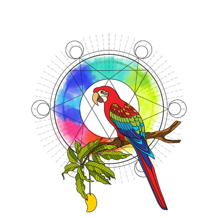 Tropical animals and plants ?n background with sacred geometry symbol and rainbow watercolor background. Vector illustration.のイラスト素材