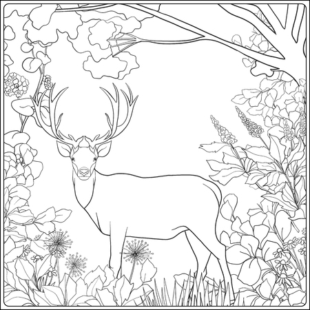 Coloring page with deer in forest. Coloring book for adult and older children. Vector illustration. Outline drawing.のイラスト素材