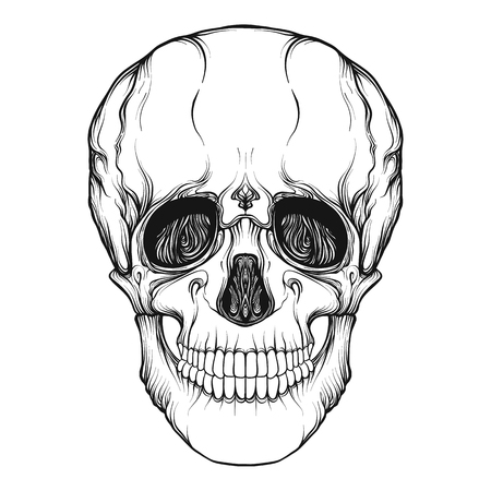 Human skull realistic hand drawing isolatedのイラスト素材
