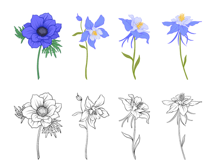 Different flowers setのイラスト素材