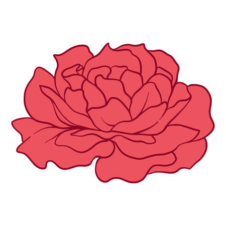 Isolated red rose. Stock vector illustration.のイラスト素材