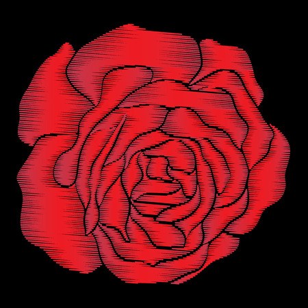 Embroidery red rose on black.のイラスト素材